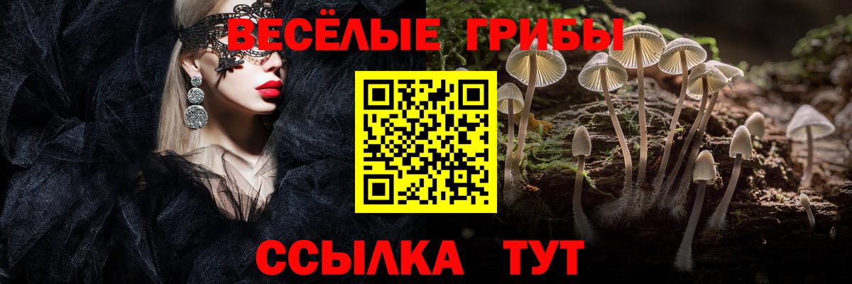 Самара  Галлюциногенные грибы мицелий  Вход с VPN  как найти закладки  Галлюциногенные грибы Psilocybe 